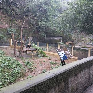 giant panda enclosure