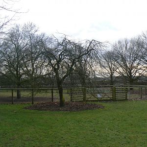 View towards Mara Enclosure - 12 February 2018