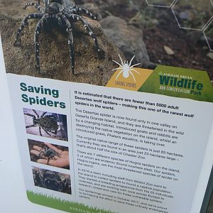 Signage - 12 February 2018