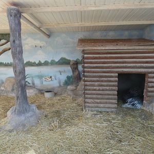 Porcupine enclosure