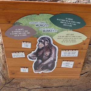 Chimpanzee signage