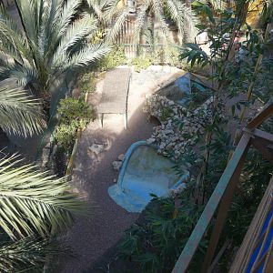 Marginated Tortoise Enclosure from above