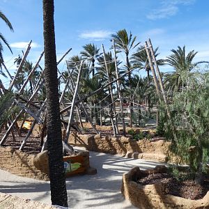 View of Ring-tailed Lemur Walk-through