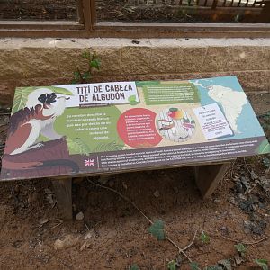Cotton-top Tamarin Signage