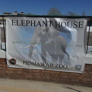 Peshawar zoo 17/2/2018