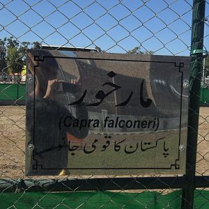 Markhor signage - Peshawar zoo 17/2/2018