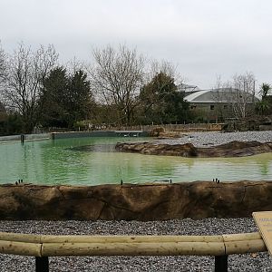 New penguin exhibit