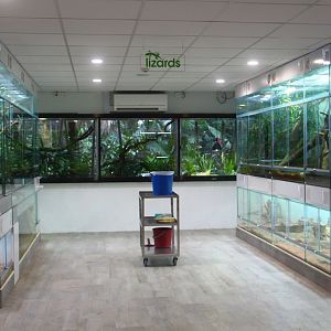 RepTopia - Behind-the-scenes