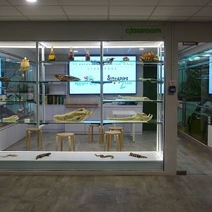 RepTopia - Behind-the-scenes