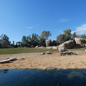 Giraffe, Thompsons Gazelle, Impala and Blesbok exhibit