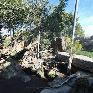 Sri Lankan Leopard exhibit