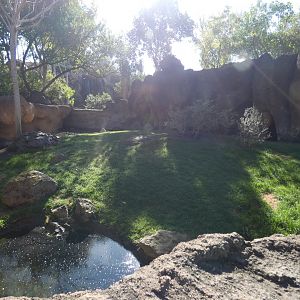 Spot-necked Otter enclosure