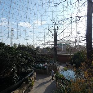 View inside Wetlands aviary