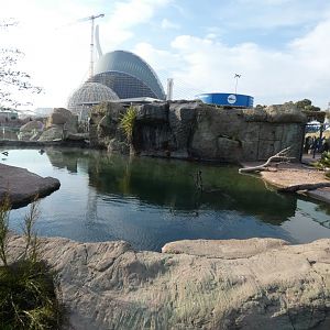 Slender-snouted Crocodile exhibit