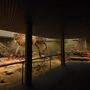 Etosha house mixed enclosure