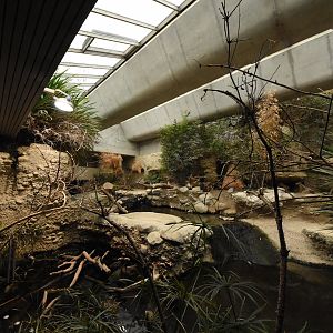 Gamgoas Crocodile enclosure