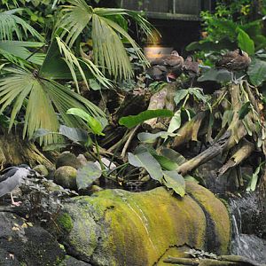 Inside the South-America dome