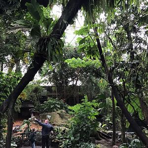 Inside the South-America dome