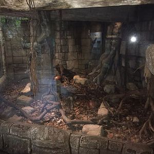 Enclosure for Bushmaster