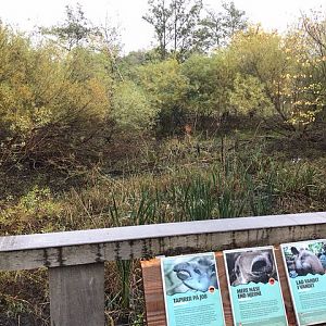 Outside enclosure for Brazilian tapirs