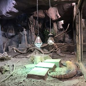 Enclosure for Komodo dragons