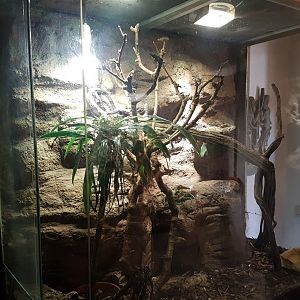 Enclosure Black tree-monitor