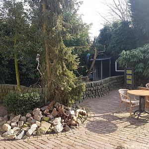 Parrot-enclosure and Terras