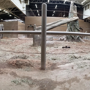 Feb. 2017 - Asia Quest - Indoor Elephant Exhibit Pano