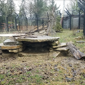 Dec. 2017 - North America - Bobcat Exhibit