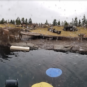 Dec. 2017 - Polar Frontier - Polar Bear Exhibit Pano (Half of It)