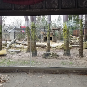 Dec. 2017 - North America - Black Bear Exhibit