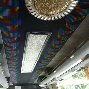 interior of safari bus July 2016