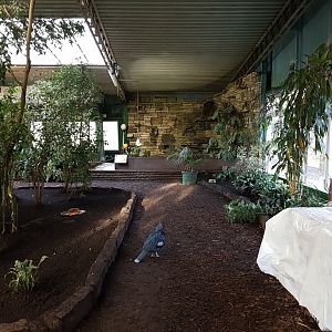 Walk-through part and Big-headed turtle-enclosure