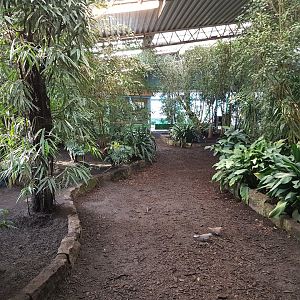 Walk-through part Tropical Hall