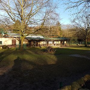 Tapir - Rhea enclosure