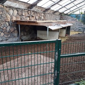 Tapir-indoor-enclosure Paradieshalle