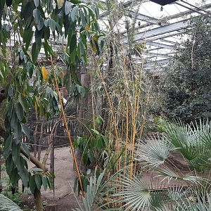 View into the Tropical Hall