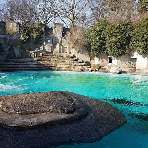 Sea-lion - Penguin-enclosure