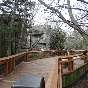 Feb. 2018 - Cats of the Americas View