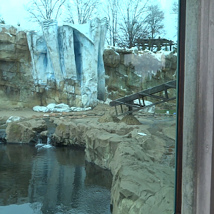 Video - Glacier Run - Bear Compound/Over Head Transfer Tunnel/Second Bear Exhibit