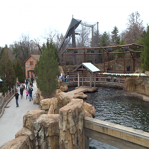 Video - Glacier Run - Sea Lion/Sea Lion Exhibit Overlook