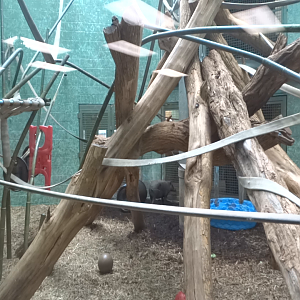 Video - Islands - Islands Pavilion - Dayroom