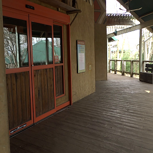 Video - Gorilla Forest - First Gorilla Exhibit Into the Indoor Sanctuary