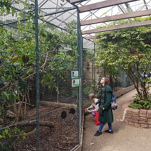Aviaries Tropical Hall