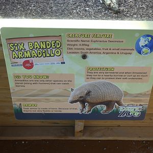 Six-banded Armadillo signage