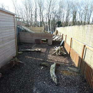 Six-banded Armadillo Enclosure