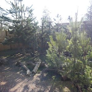 Striped Skunk and North American Tree Porcupine enclosure