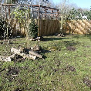 Parma Wallaby, Red-necked Wallaby and Mara exhibit