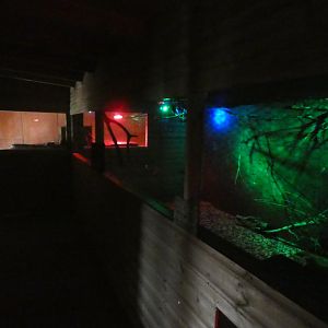 View of Nocturnal House