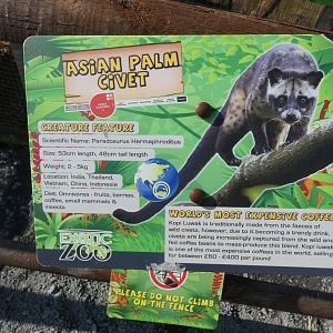 Asian Palm Civet signage